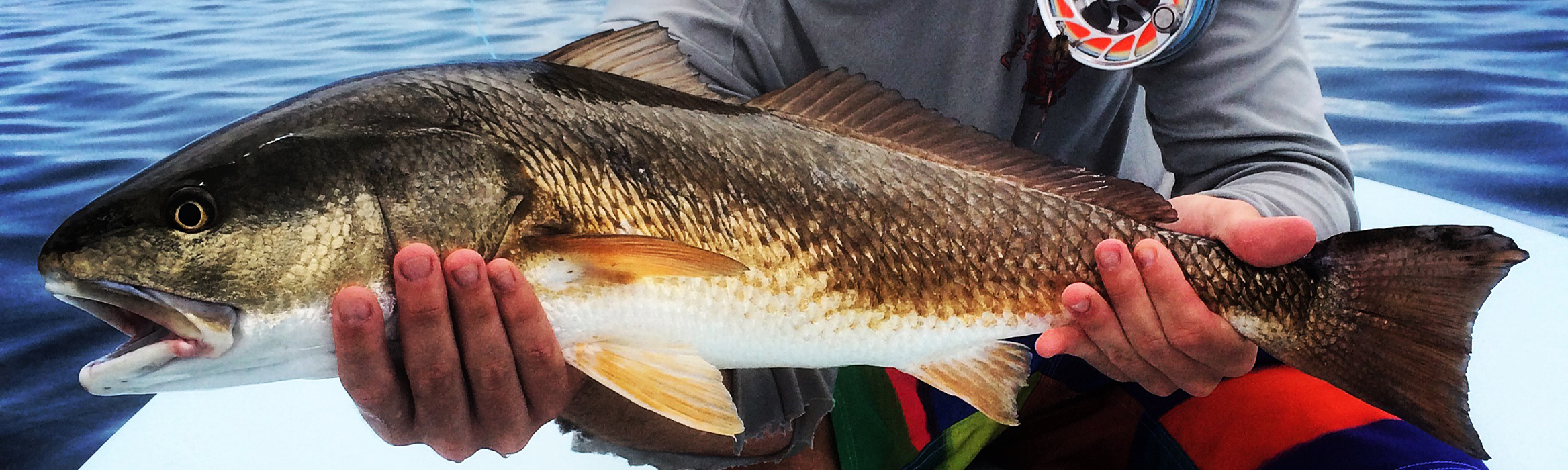 miami-fishing-guide-with-redfish